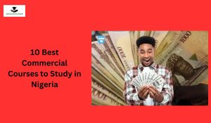 10 Best Commercial Courses to Study in Nigeria