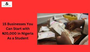 15 Businesses You Can Start with ₦20,000 in Nigeria As a Student