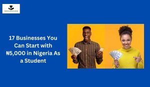 17 Businesses You Can Start with ₦5,000 in Nigeria As a Student