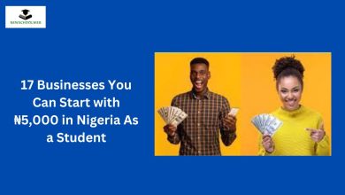 17 Businesses You Can Start with ₦5,000 in Nigeria As a Student