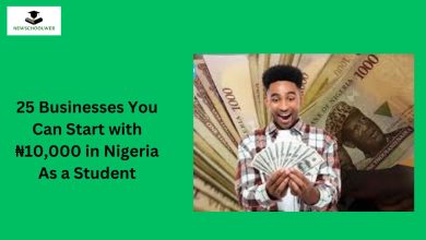 25 Businesses You Can Start with ₦10,000 in Nigeria As a Student