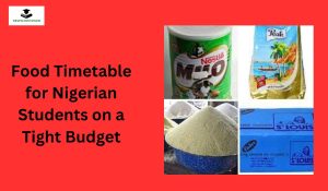 Food Timetable for Nigerian Students on a Tight Budget