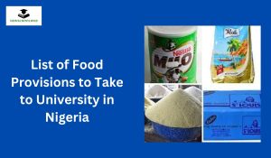 List of Food Provisions to Take to University in Nigeria