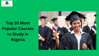 Top 10 Most Popular Courses to Study in Nigeria