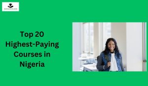 Top 20 Highest-Paying Courses in Nigeria