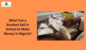 What Can a Student Sell in School to Make Money in Nigeria