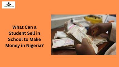 What Can a Student Sell in School to Make Money in Nigeria