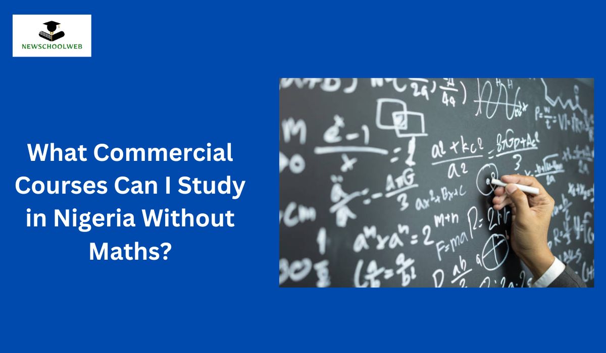 What Commercial Courses Can I Study in Nigeria Without Maths