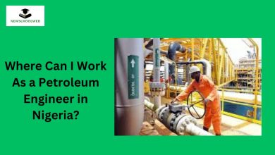 Where Can I Work As a Petroleum Engineer in Nigeria