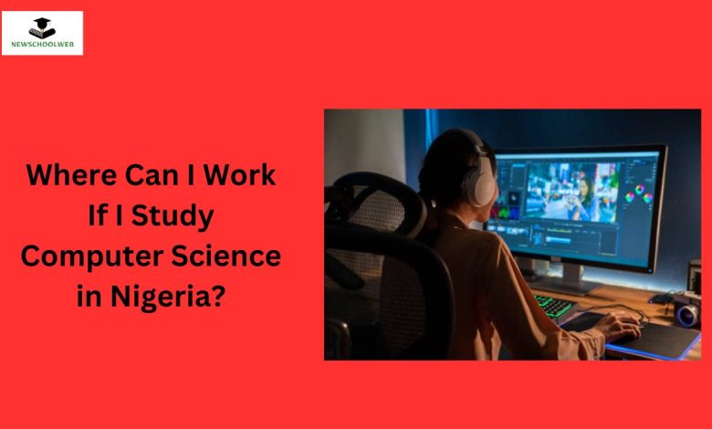 where-can-i-work-if-i-study-computer-science-in-nigeria