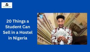 20 Things a Student Can Sell in a Hostel in Nigeria