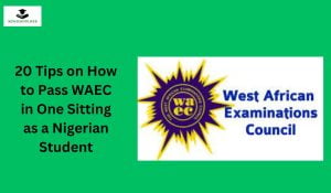 20 Tips on How to Pass WAEC in One Sitting as a Nigerian Student