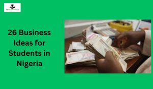 26 Business Ideas for Students in Nigeria