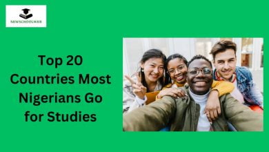 Top 20 Countries Most Nigerians Go for Studies