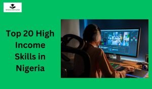 Top 20 High Income Skills in Nigeria