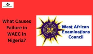 What Causes Failure in WAEC in Nigeria