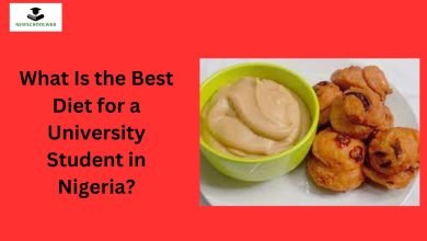 What Is the Best Diet for a University Student in Nigeria