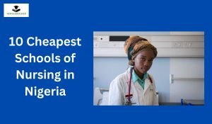 10 Cheapest Schools of Nursing in Nigeria