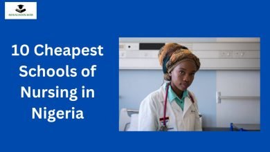 10 Cheapest Schools of Nursing in Nigeria