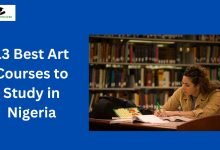 13 Best Art Courses to Study in Nigeria