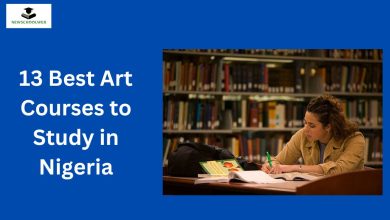 13 Best Art Courses to Study in Nigeria