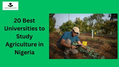 20 Best Universities to Study Agriculture in Nigeria