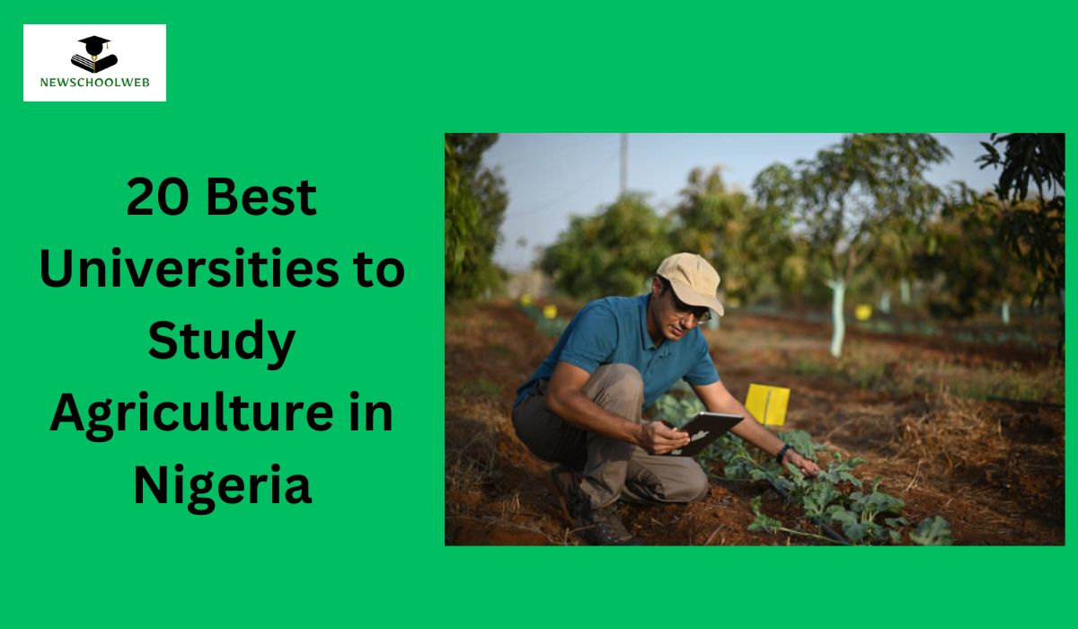 20 Best Universities to Study Agriculture in Nigeria