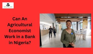 Can An Agricultural Economist Work in a Bank in Nigeria