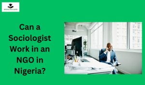 Can a Sociologist Work in an NGO in Nigeria