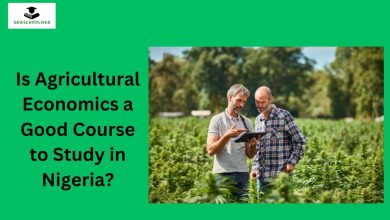 Is Agricultural Economics a Good Course to Study in Nigeria