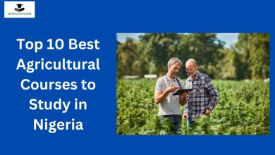 Top 10 Best Agricultural Courses to Study in Nigeria