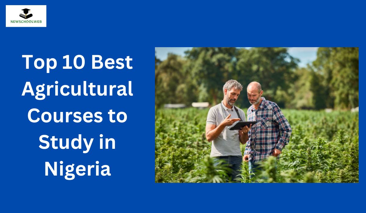 Top 10 Best Agricultural Courses to Study in Nigeria