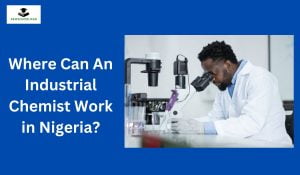 Where Can An Industrial Chemist Work in Nigeria