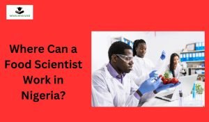 Where Can a Food Scientist Work in Nigeria