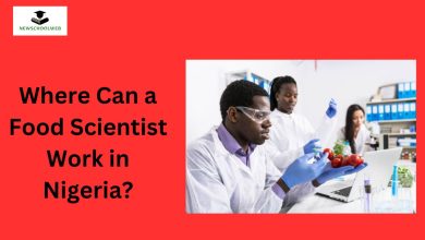 Where Can a Food Scientist Work in Nigeria