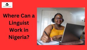 Where Can a Linguist Work in Nigeria