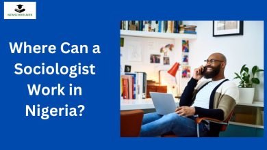 Where Can a Sociologist Work in Nigeria