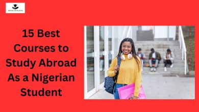 15 Best Courses to Study Abroad As a Nigerian Student