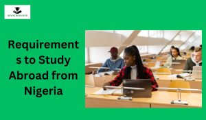 Requirements to Study Abroad from Nigeria