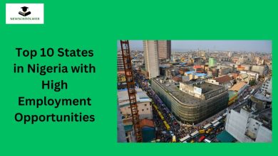 Top 10 States in Nigeria with High Employment Opportunities