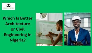 Which Is Better Architecture or Civil Engineering in Nigeria