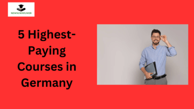 Highest-Paying Courses in Germany